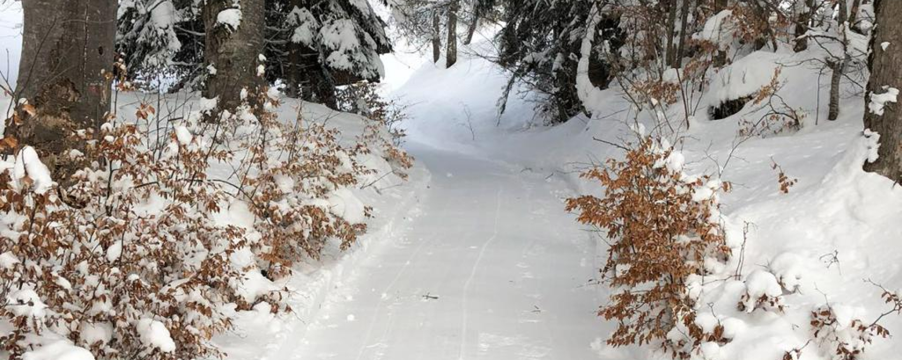 Winterwanderweg Fanas