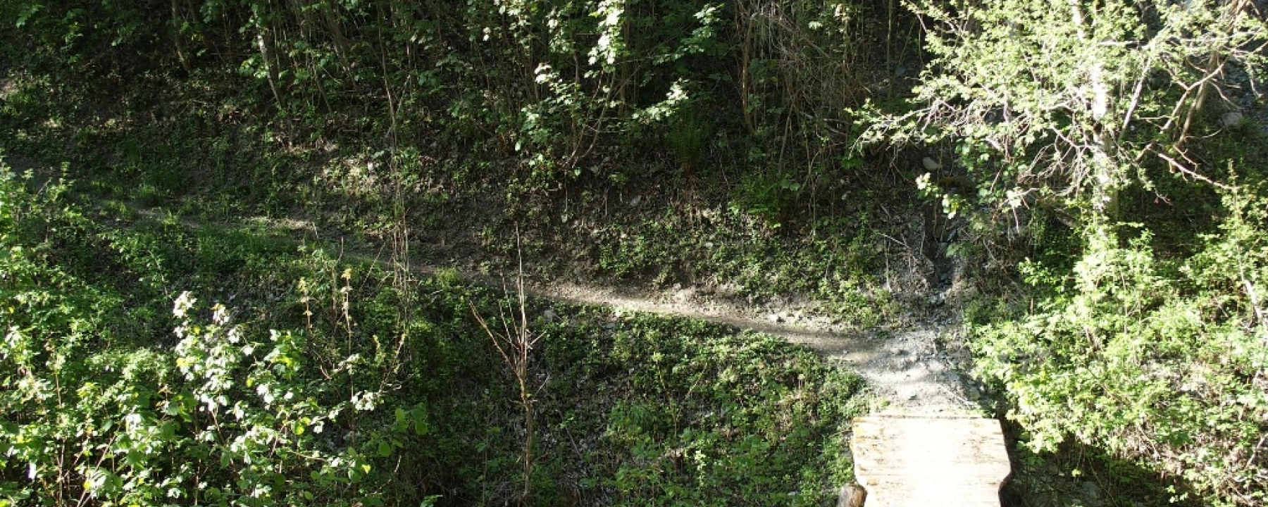 Holzbrücke