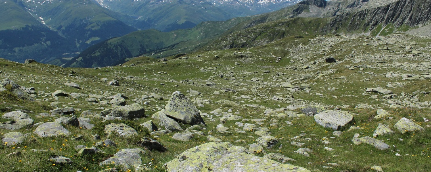 Die Landschaft um den See herum