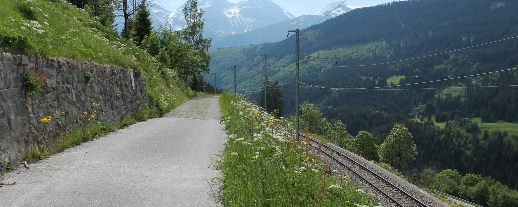 Weg von Bugnei nach Mompé Tujetsch