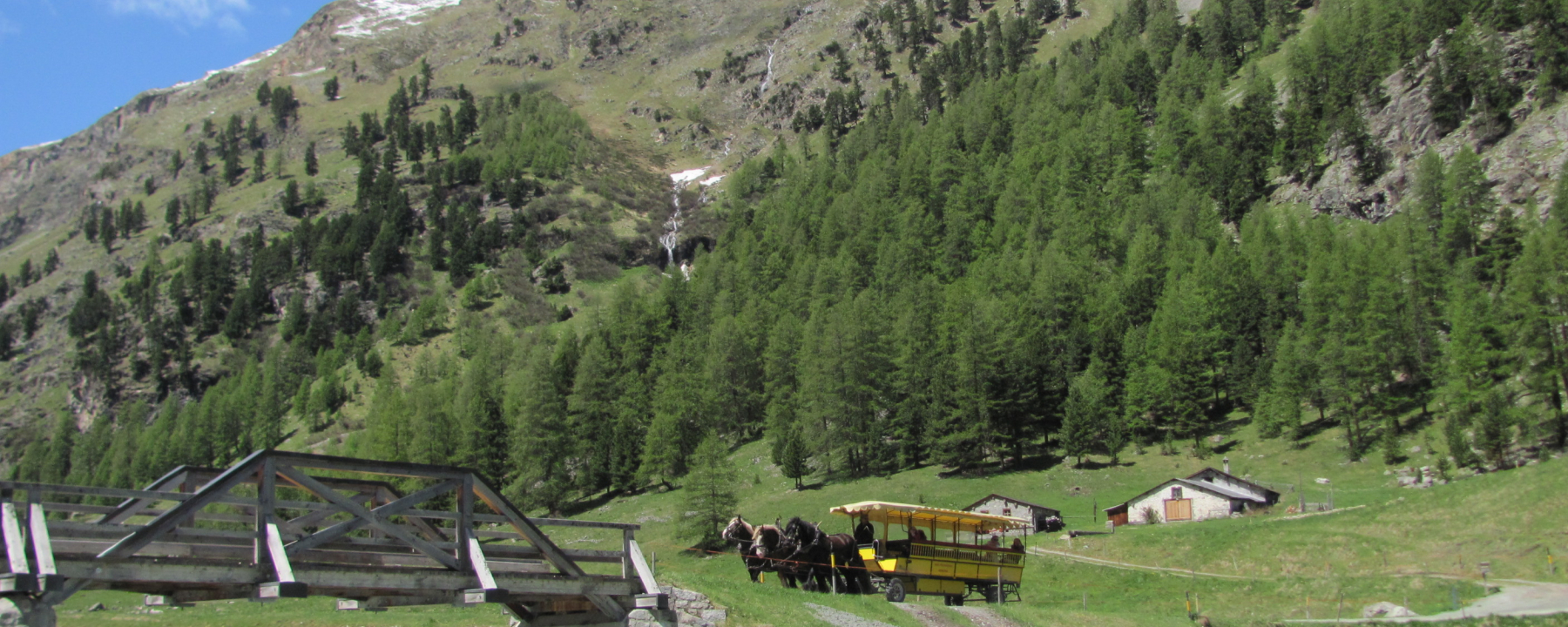 Kutsche im Val Roseg