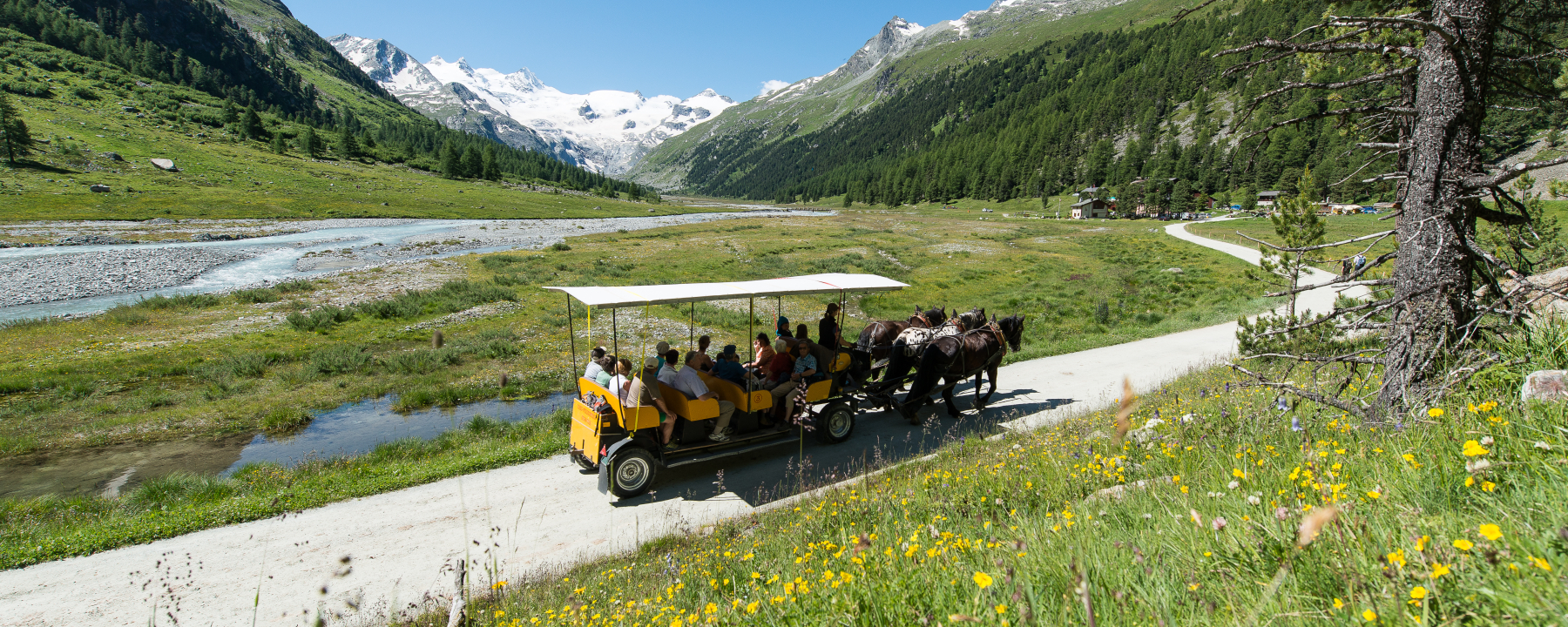 Kutschenfahrt ins Val Roseg