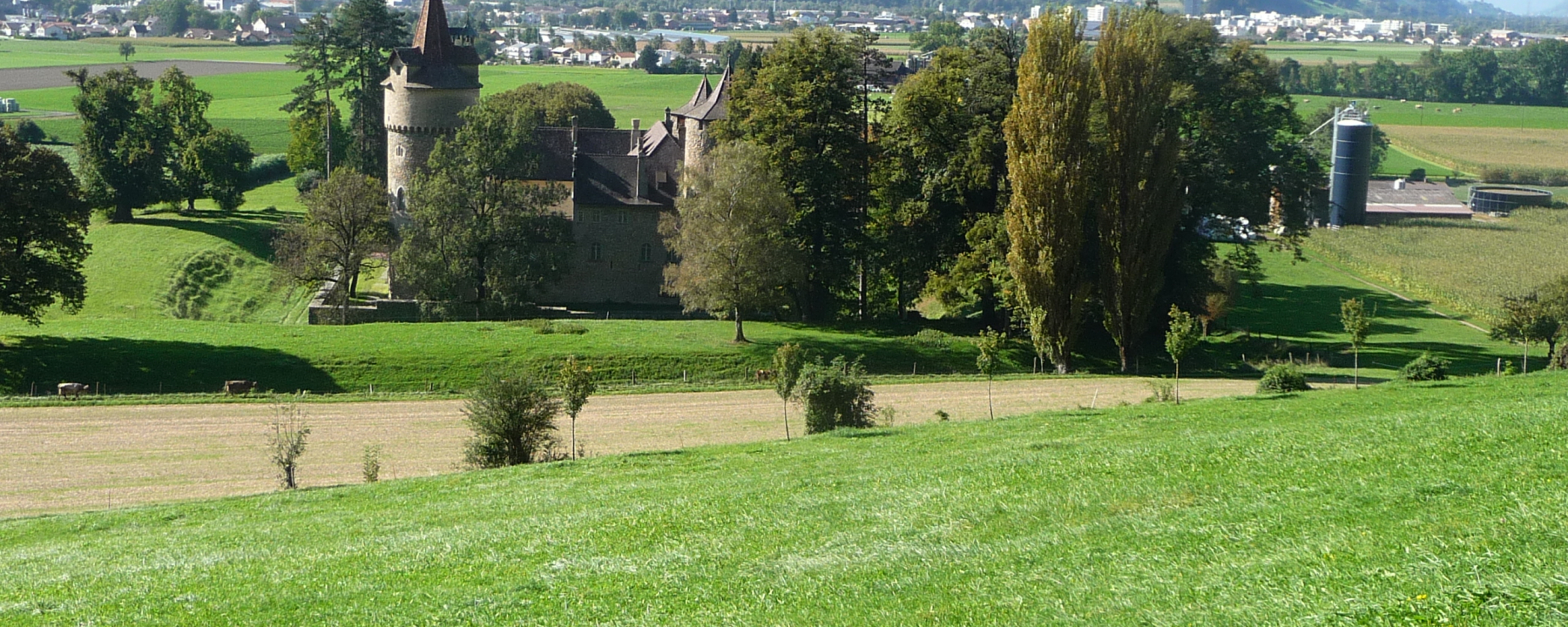 Das ehemalige Wasserschloss Marschlins liegt in der Ebene circa einen Kilometer nordöstlich von Igis.
