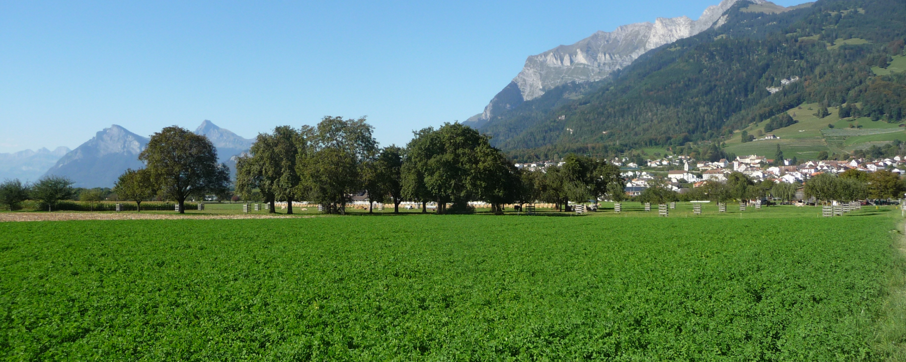 Willkommen im Winzerdörfchen Malans