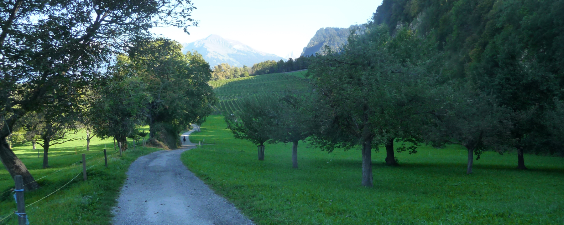 Breiter Kiesweg von Trimmis in Richtung Malans