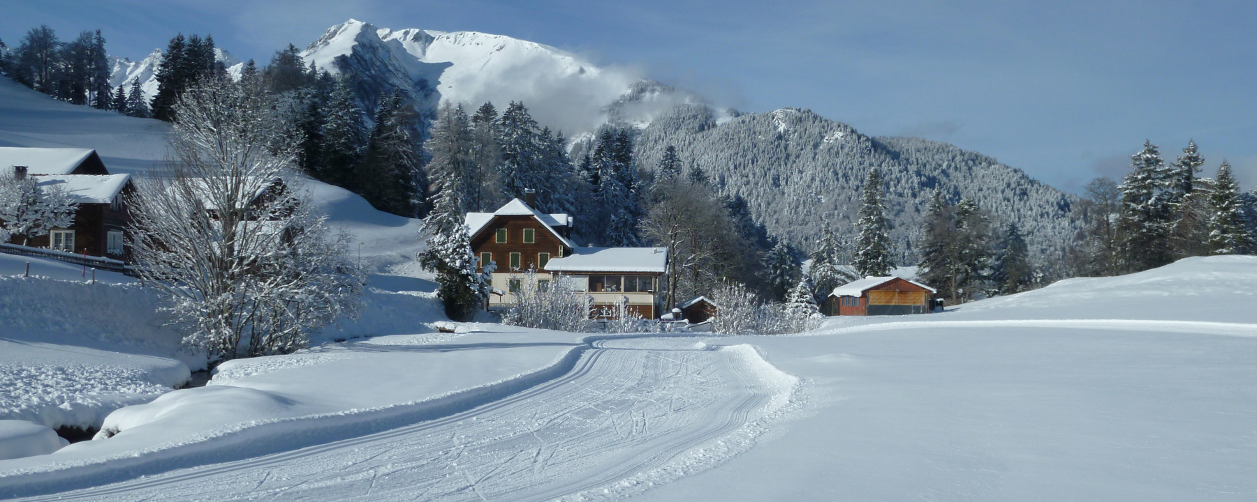 Weisse Winterpracht in St. Margrethenberg Dorf