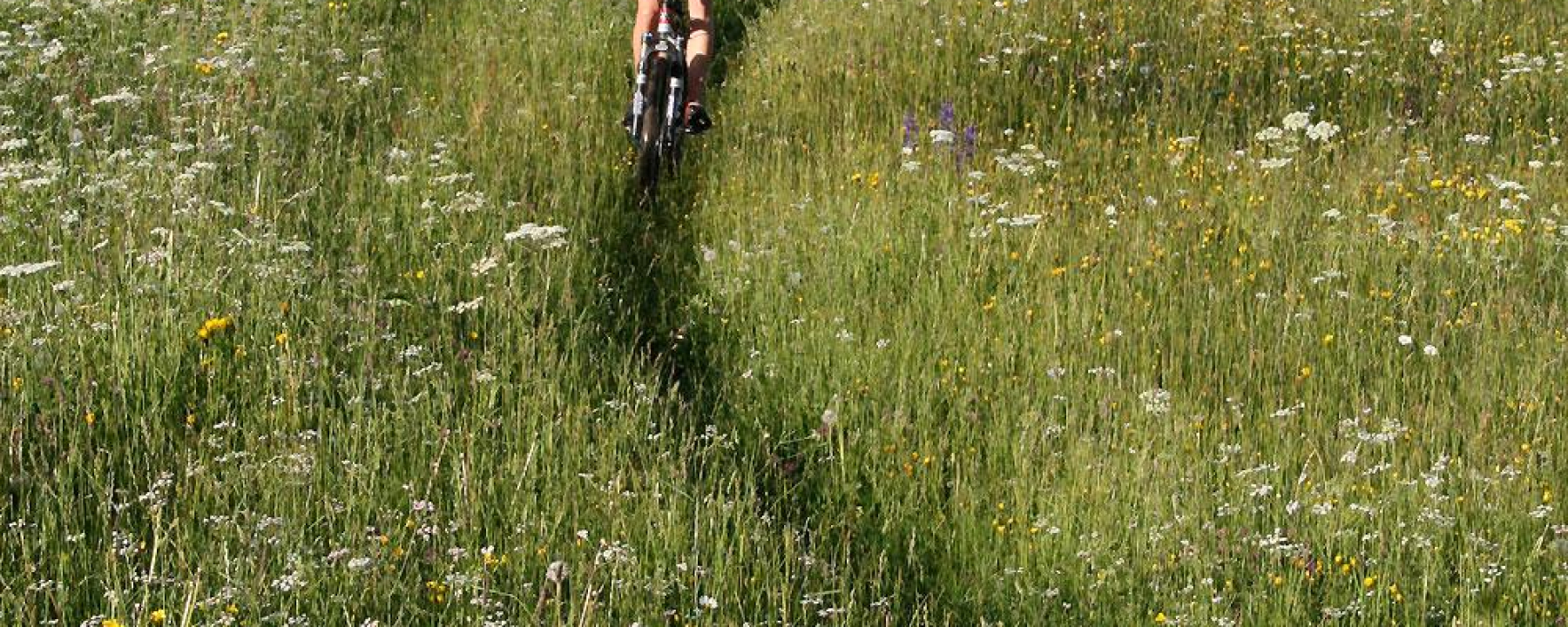 Bike-Tour Malfeis
