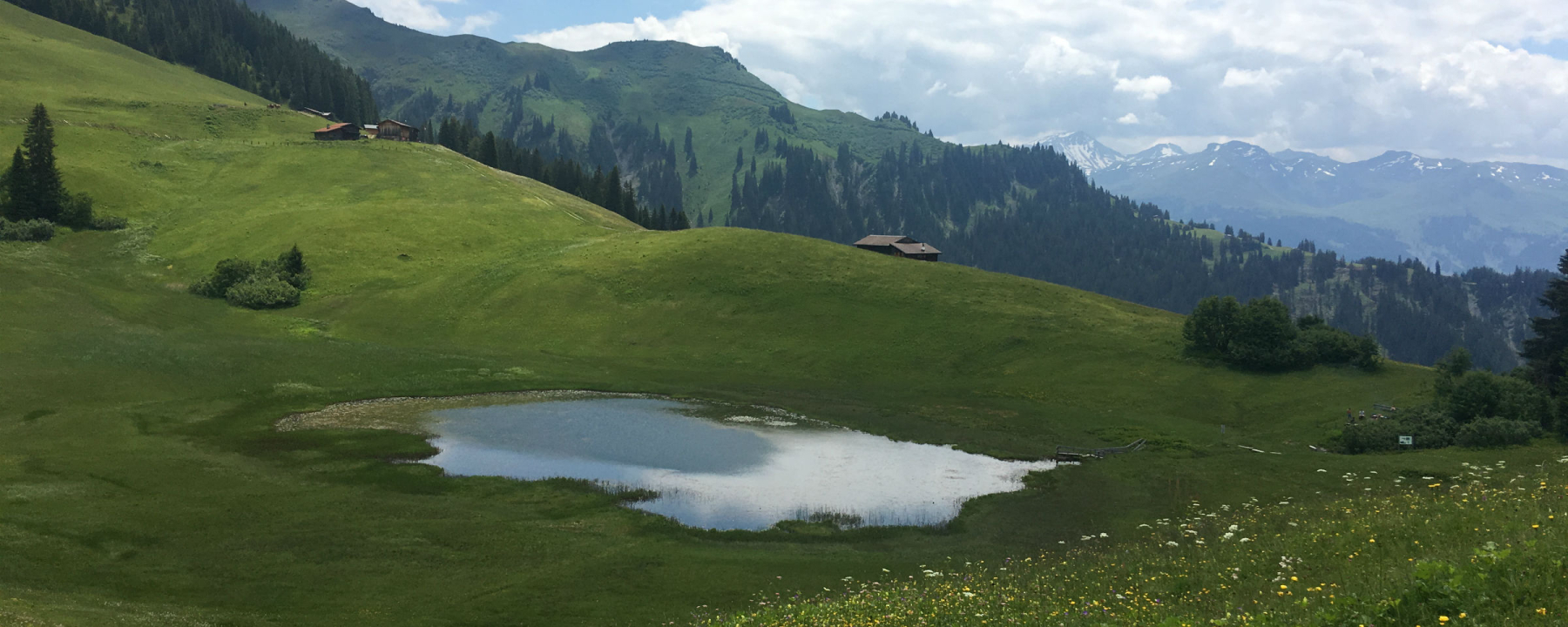 Stelsersee