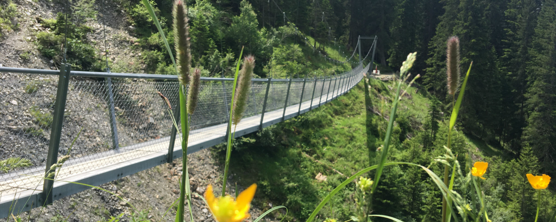 Hängebrücke Buchnertobel