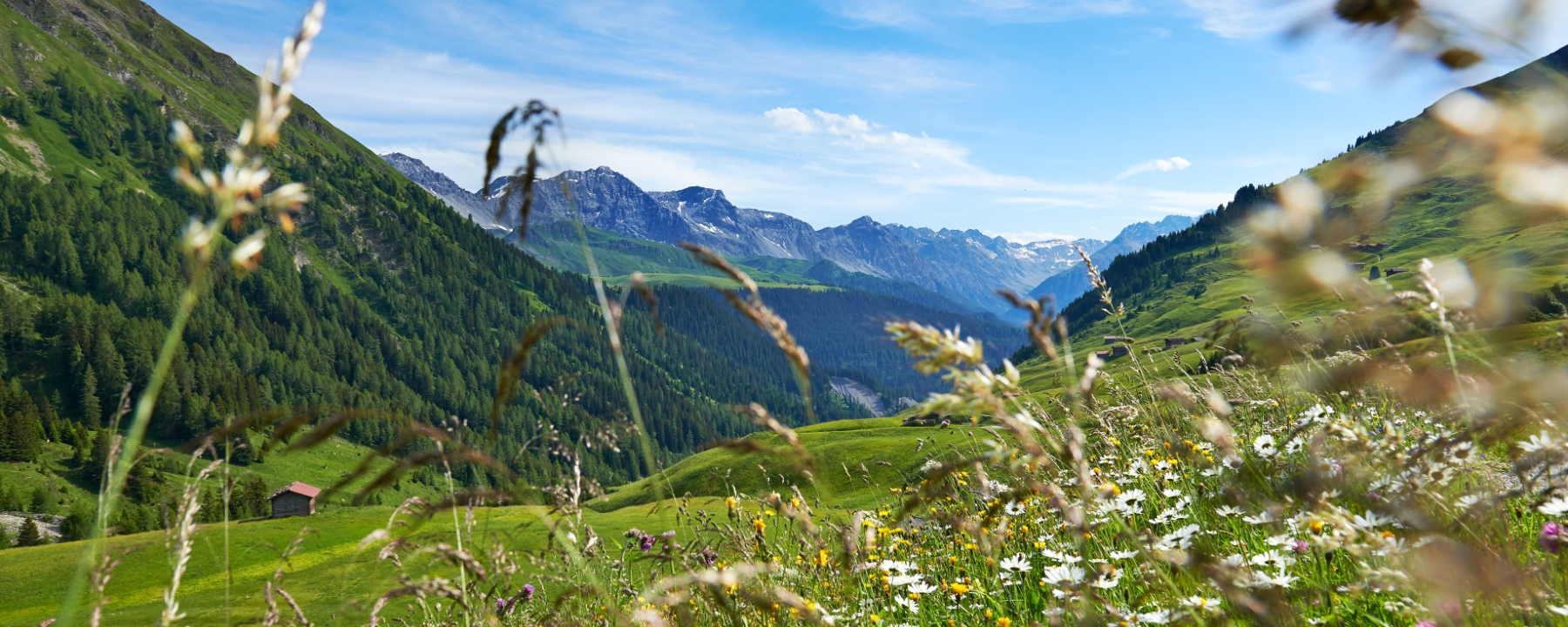 Fondei; Aussicht Richtung Langwies