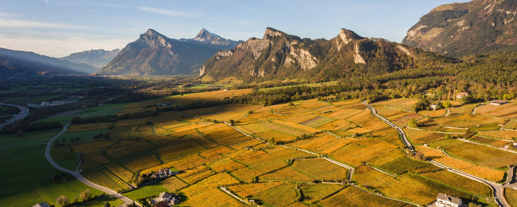 Rebberge Bündner Herrschaft und Regitzerspitz