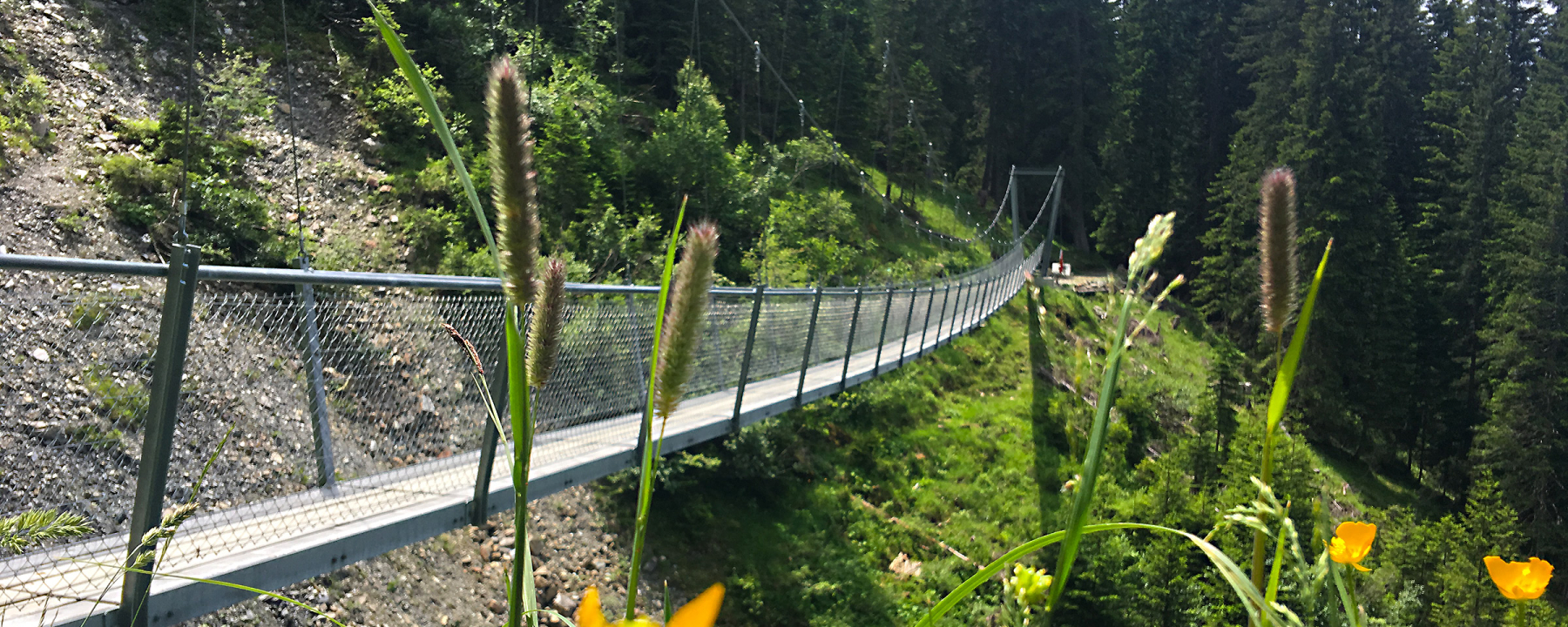 Imposant schwingt sich die Brücke 70 Meter weit über das Tobel.