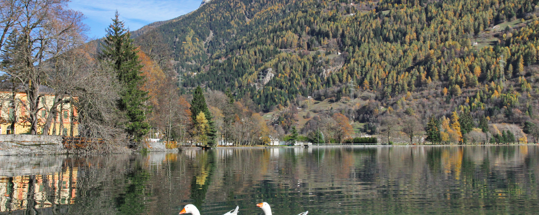 Lago di Poschiavo