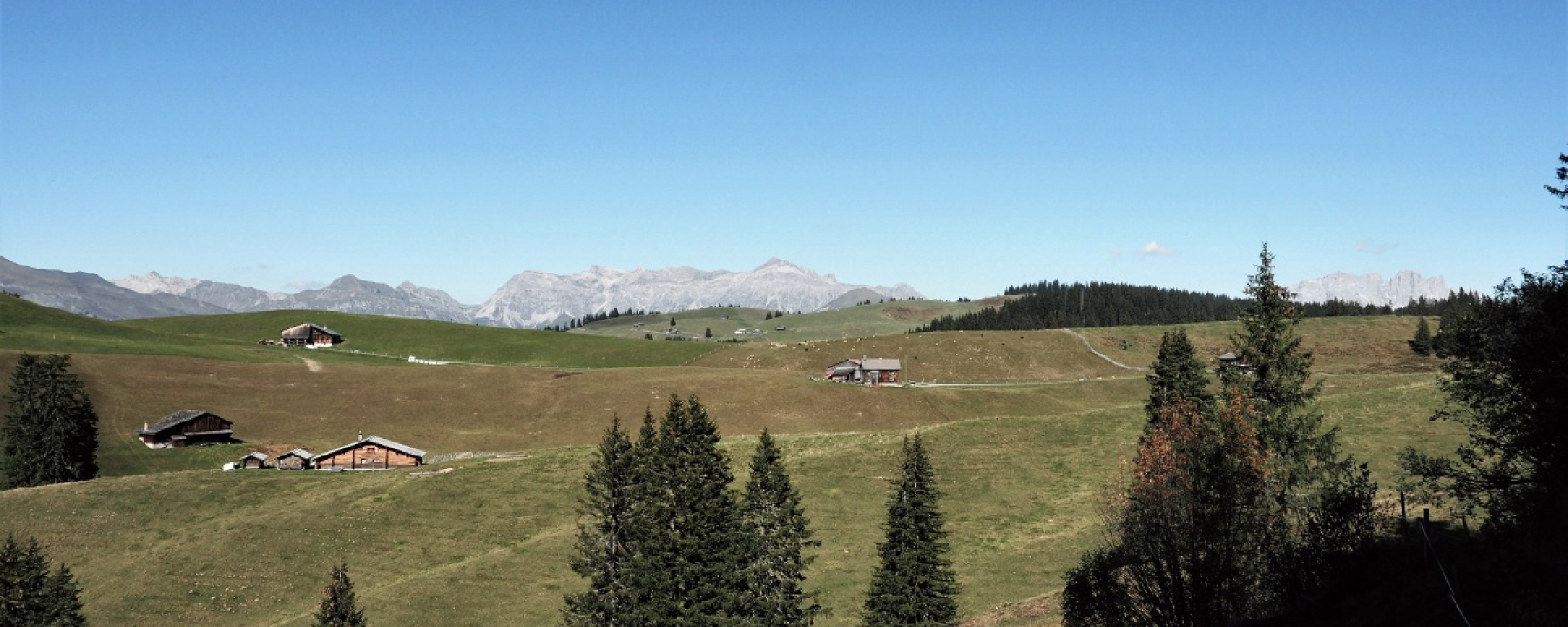 Scära mit dem Rätikon