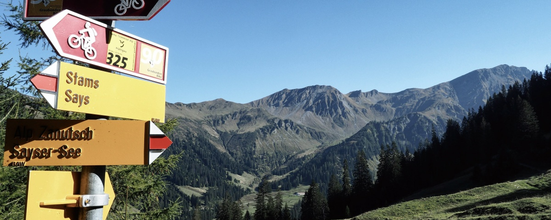 Sayser Galtviehalp zwischen Scära und Stams