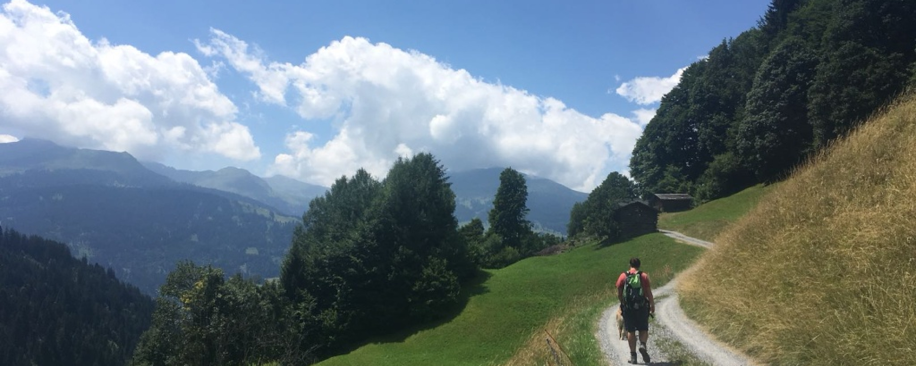 Weg entlag schöner Wiesen