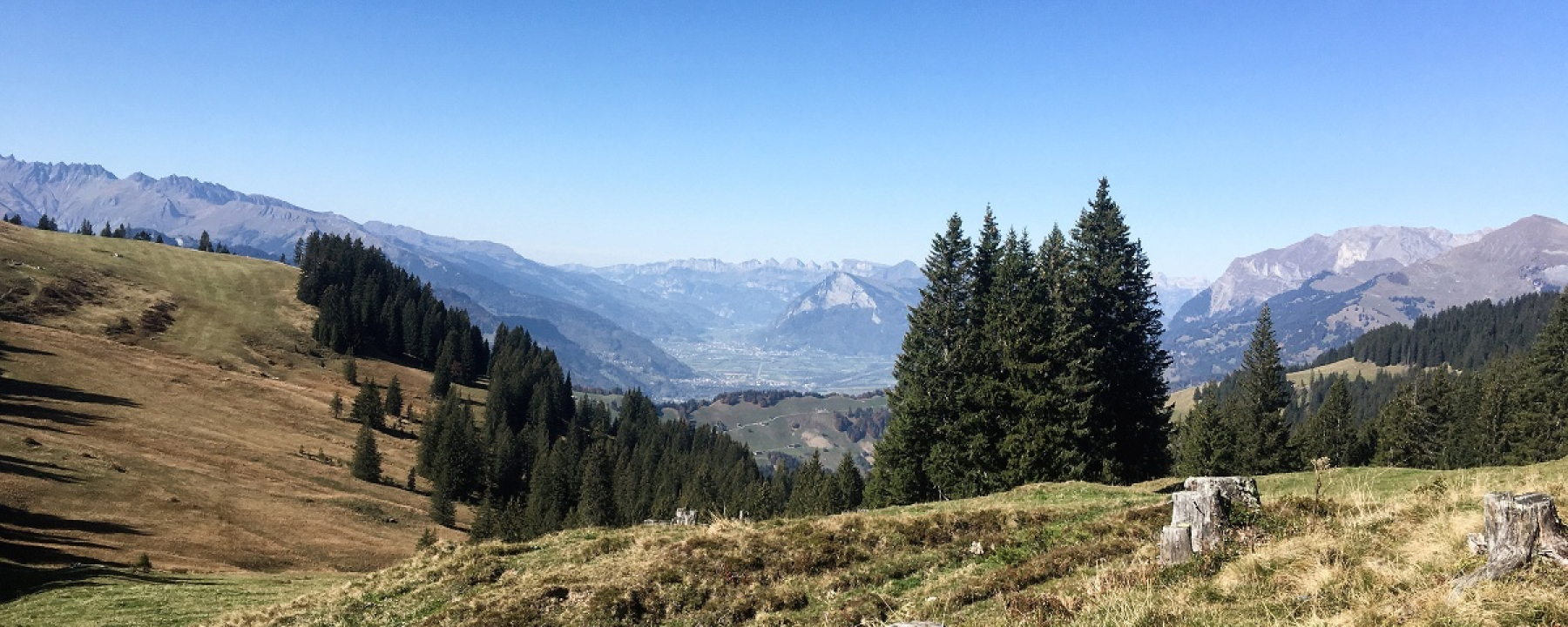 Blick ins Sarganserland bis zu den Churfirsten