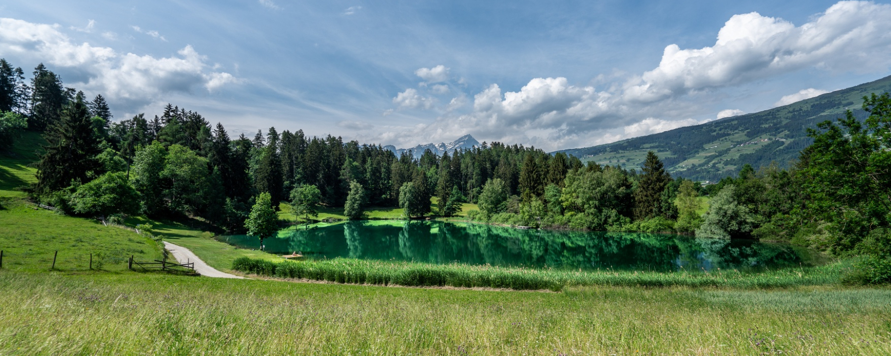 Canovasee