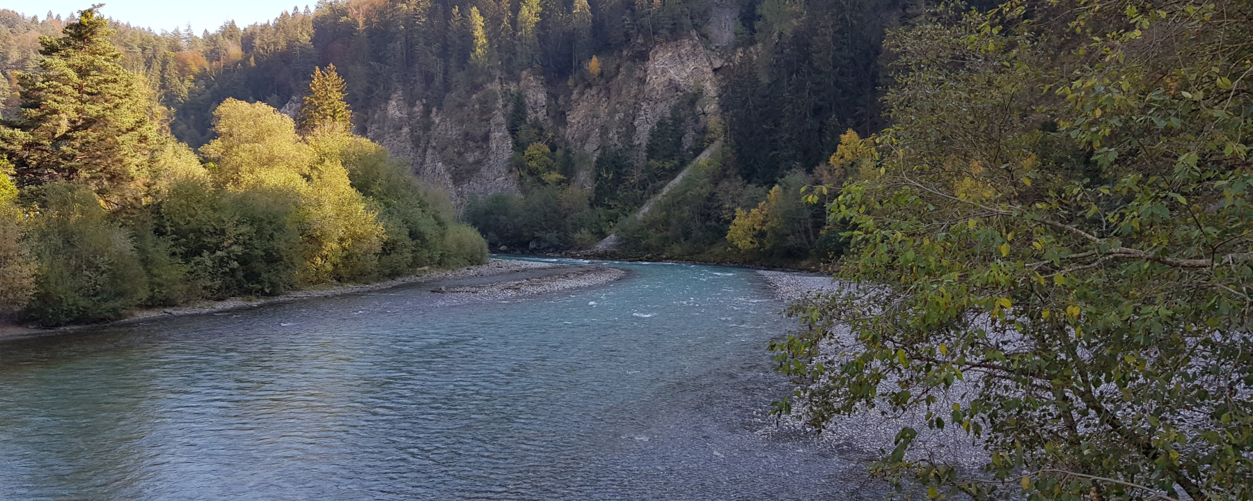Trin Staziun Rhein