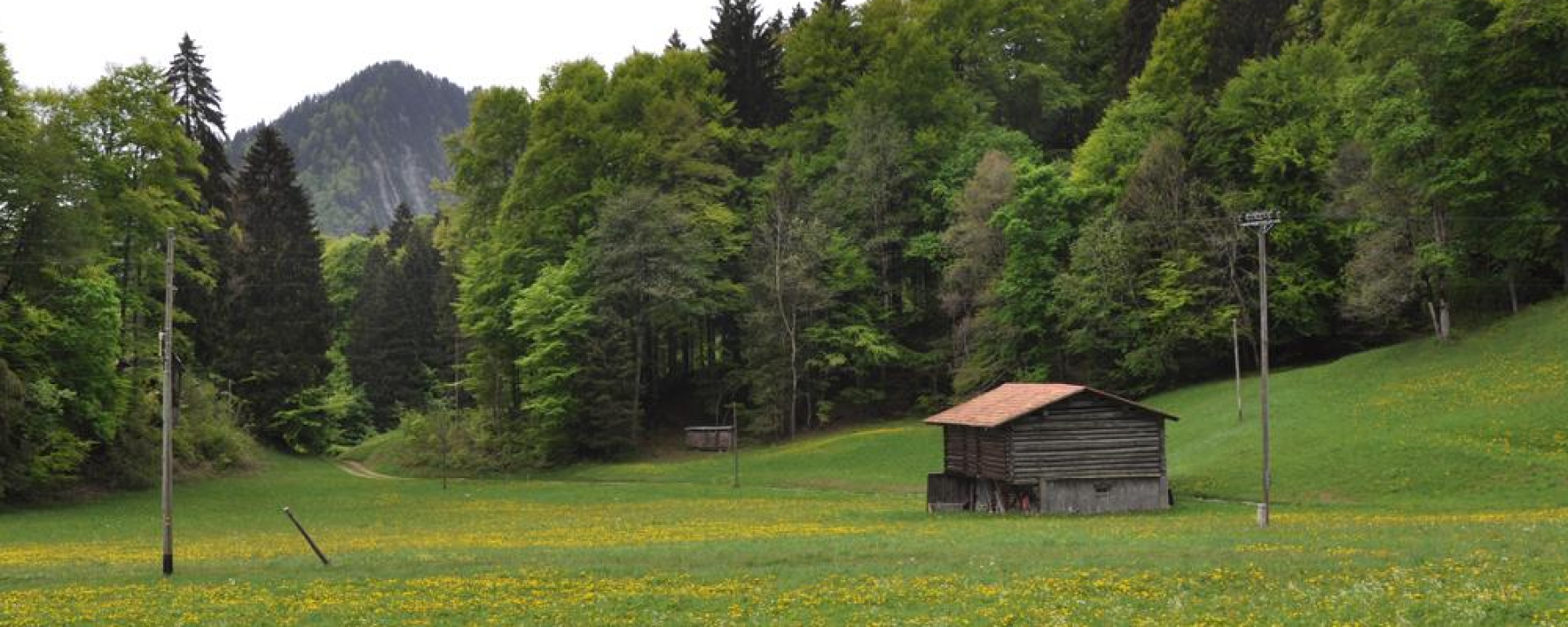 Das idyllische Islatal in Seewis