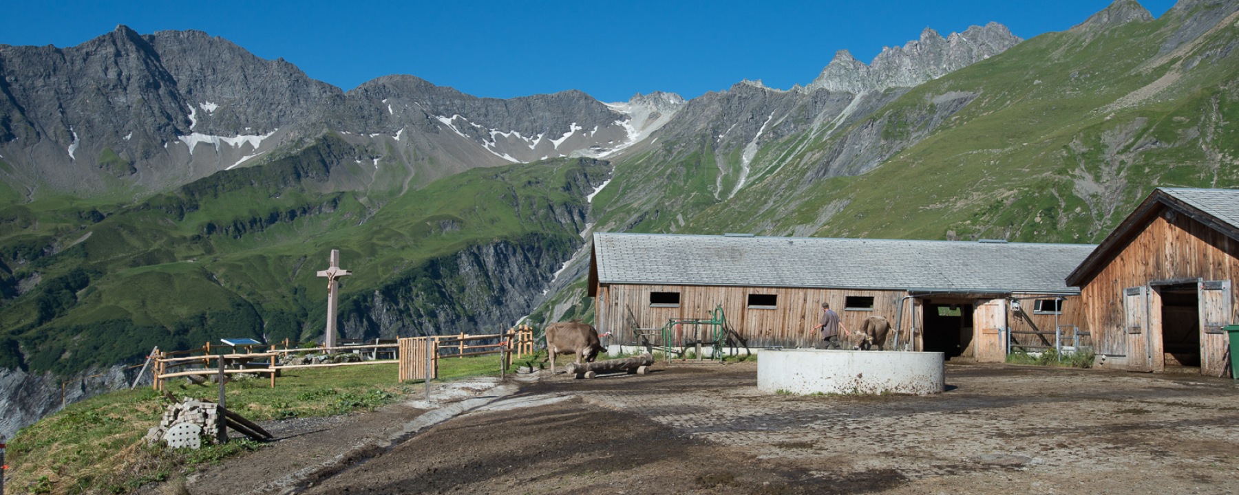 Alp Vasöner-Lasa mit Blick zum Pizol