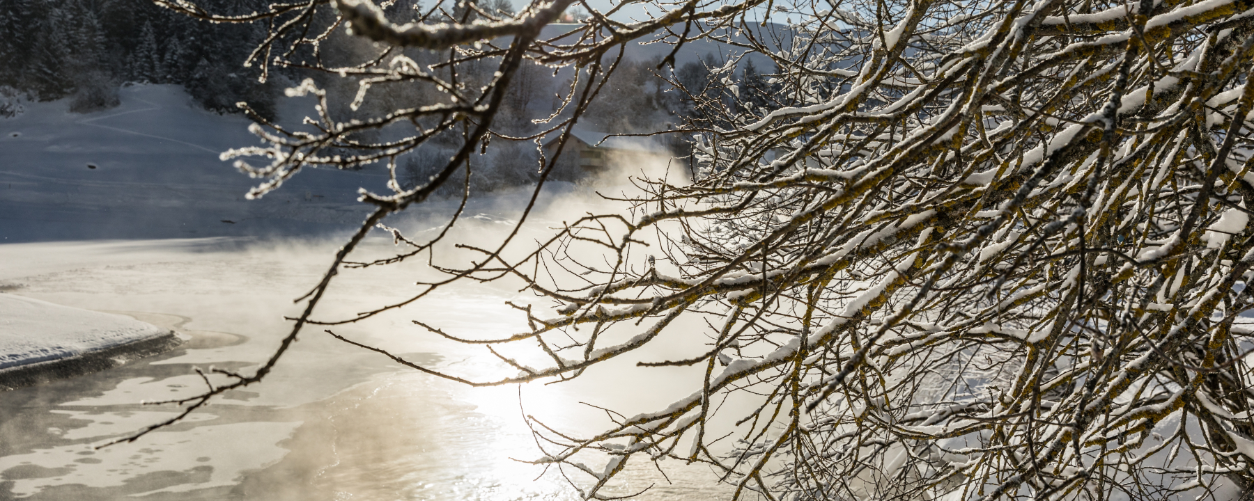 Waltensburger Runde ab Breil-vitg Winterwanderung