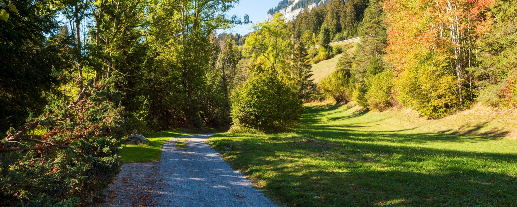 Weg zur Felsbachschlucht