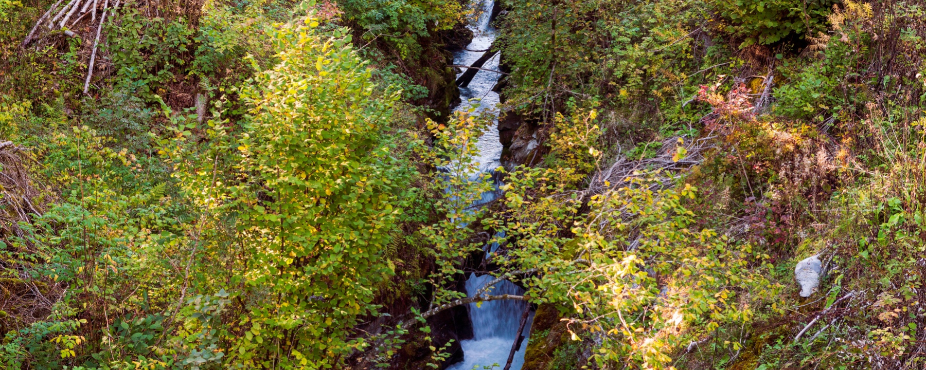 Felsbachschlucht