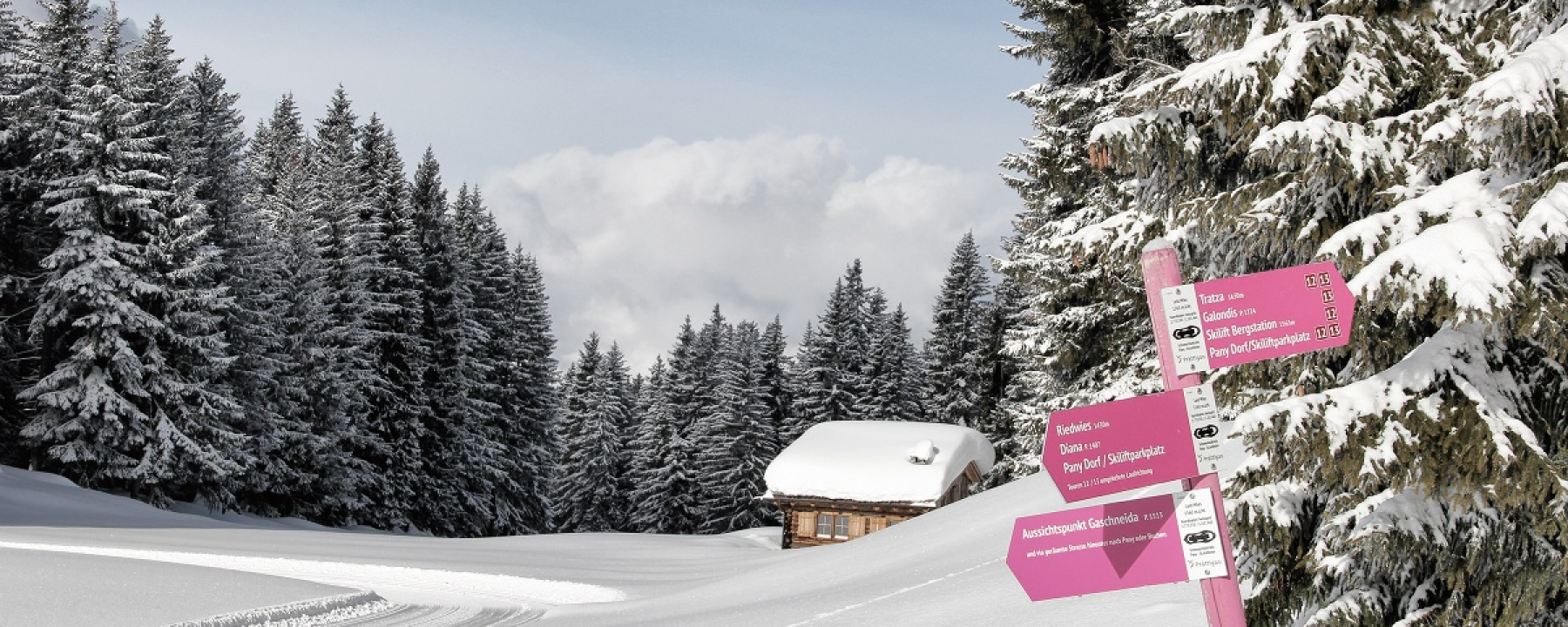 Unterwegs in der Schneeschuh-Arena Prättigau