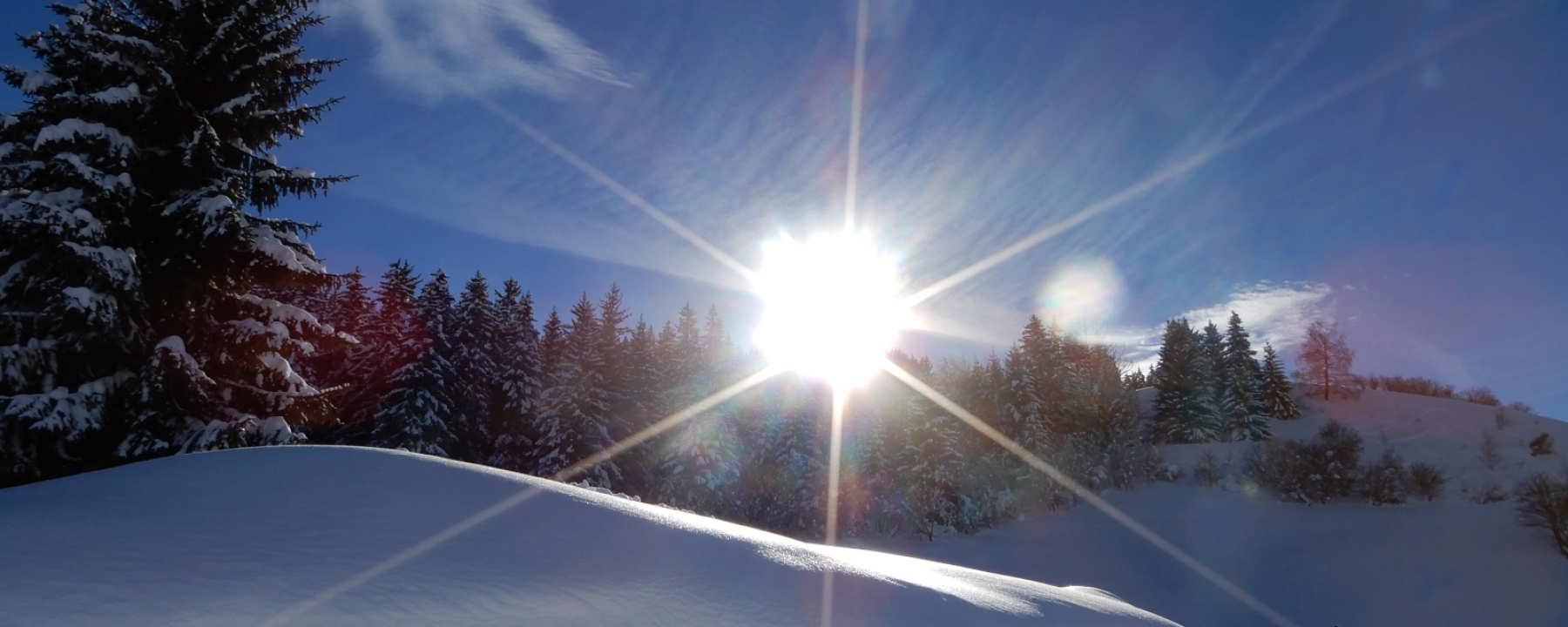 Winterwanderweg