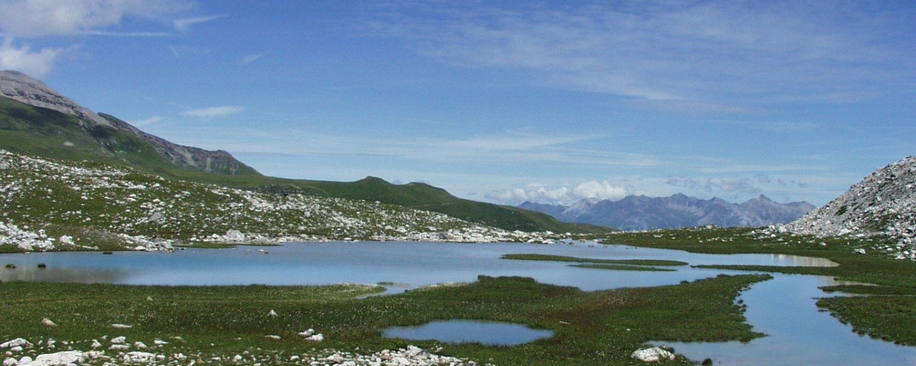 Lai Pintg