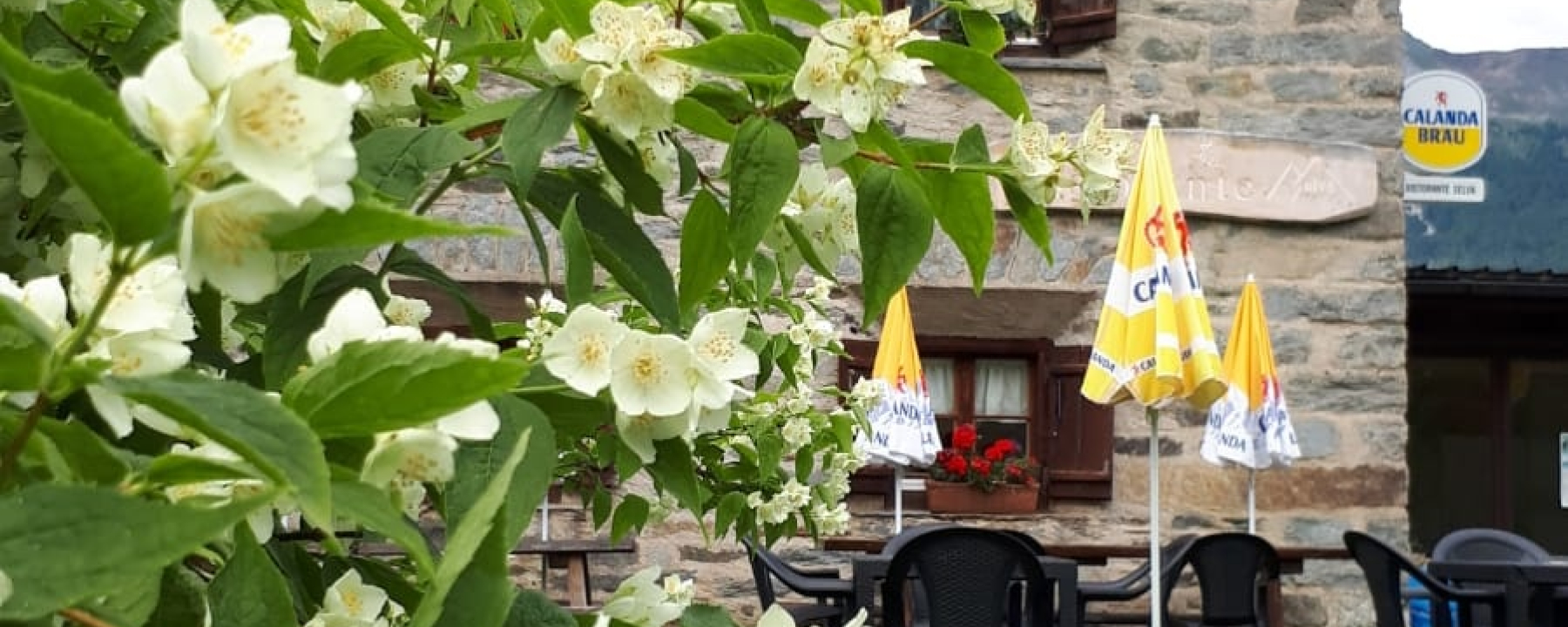Ristorante Selva