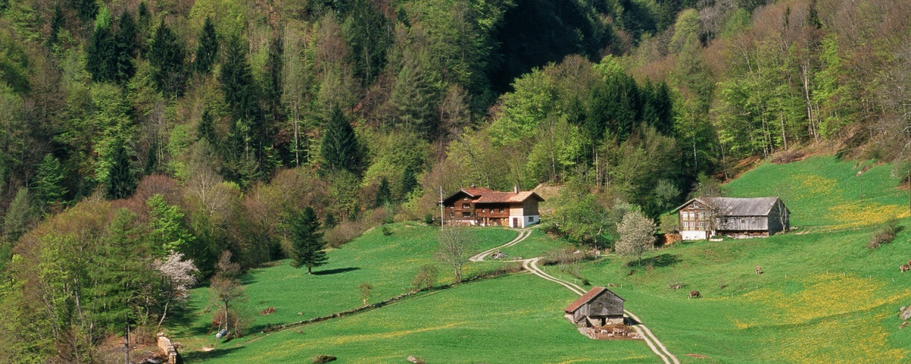 Valens Blick auf die Brücke