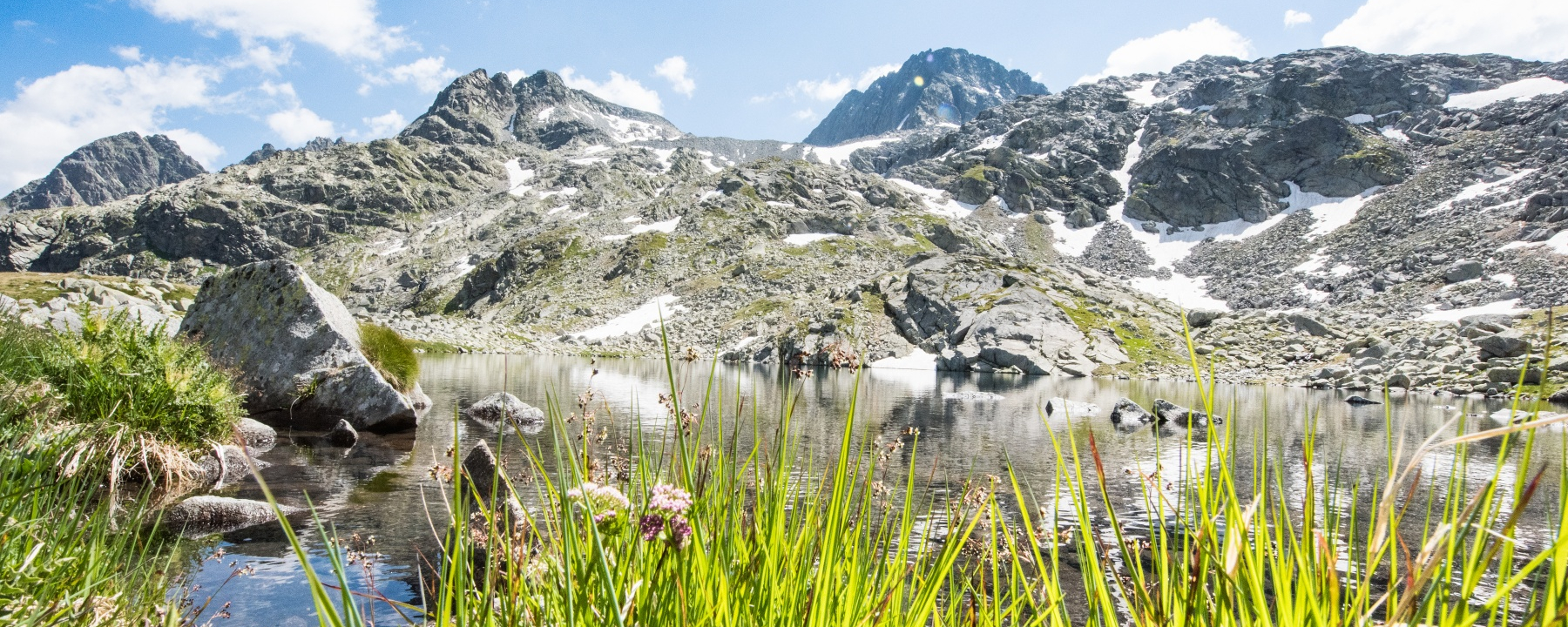 Bergseeli Splügenpass