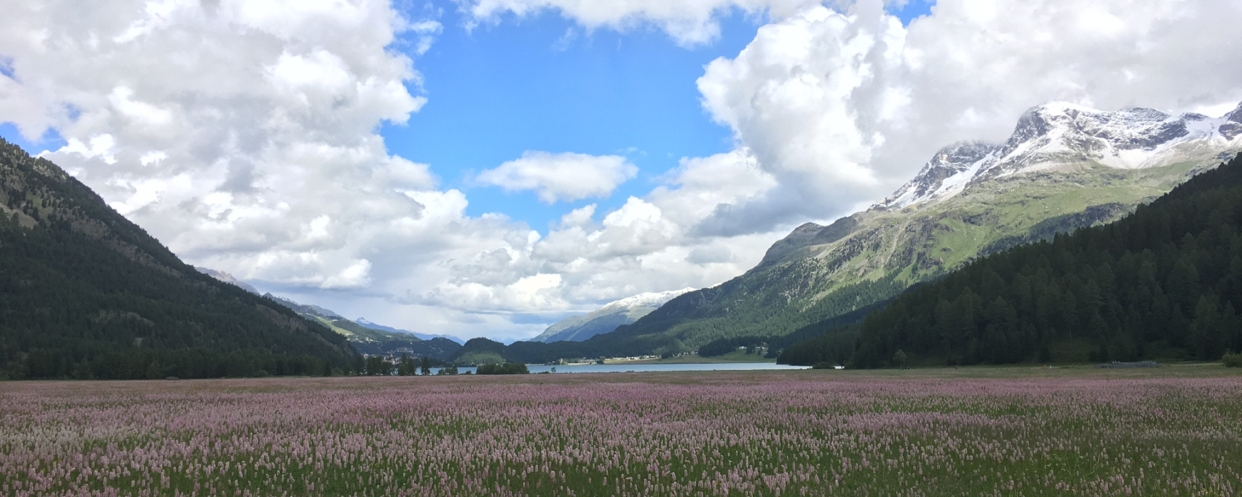 Bergfrühling am Silvaplanersee