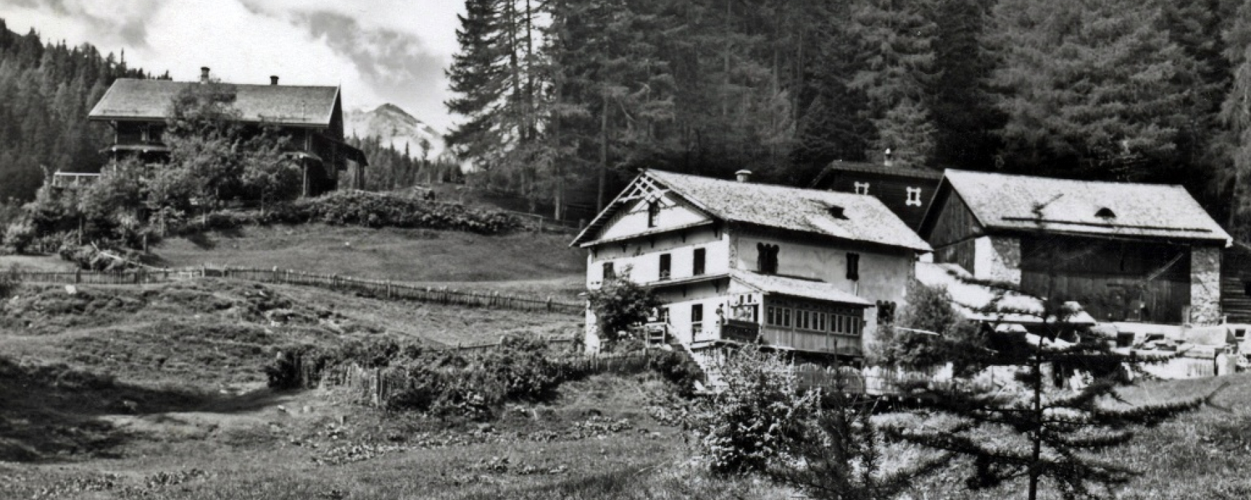 Hof Zuort und Chasa Mengelberg