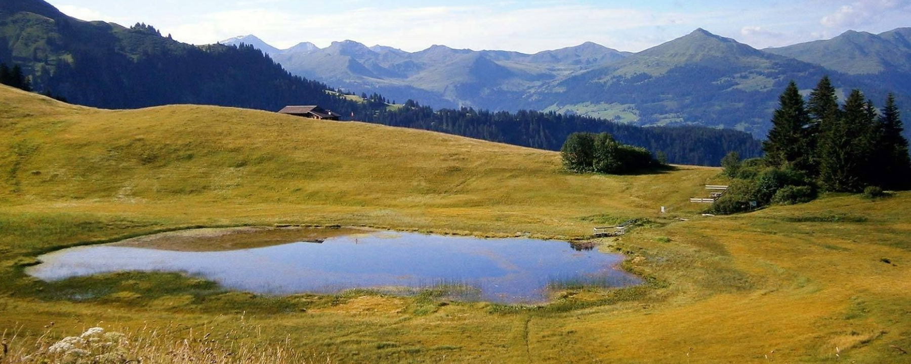 Stelsersee