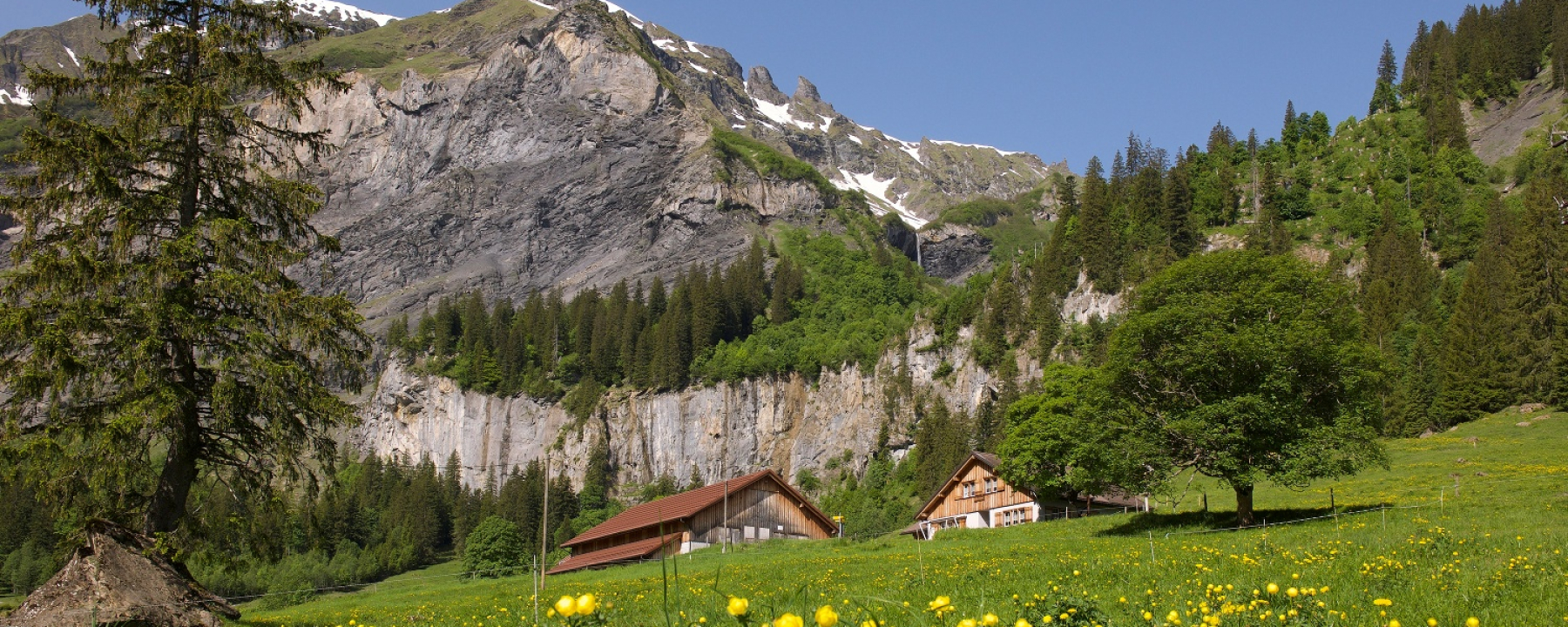 Alp Walabütz