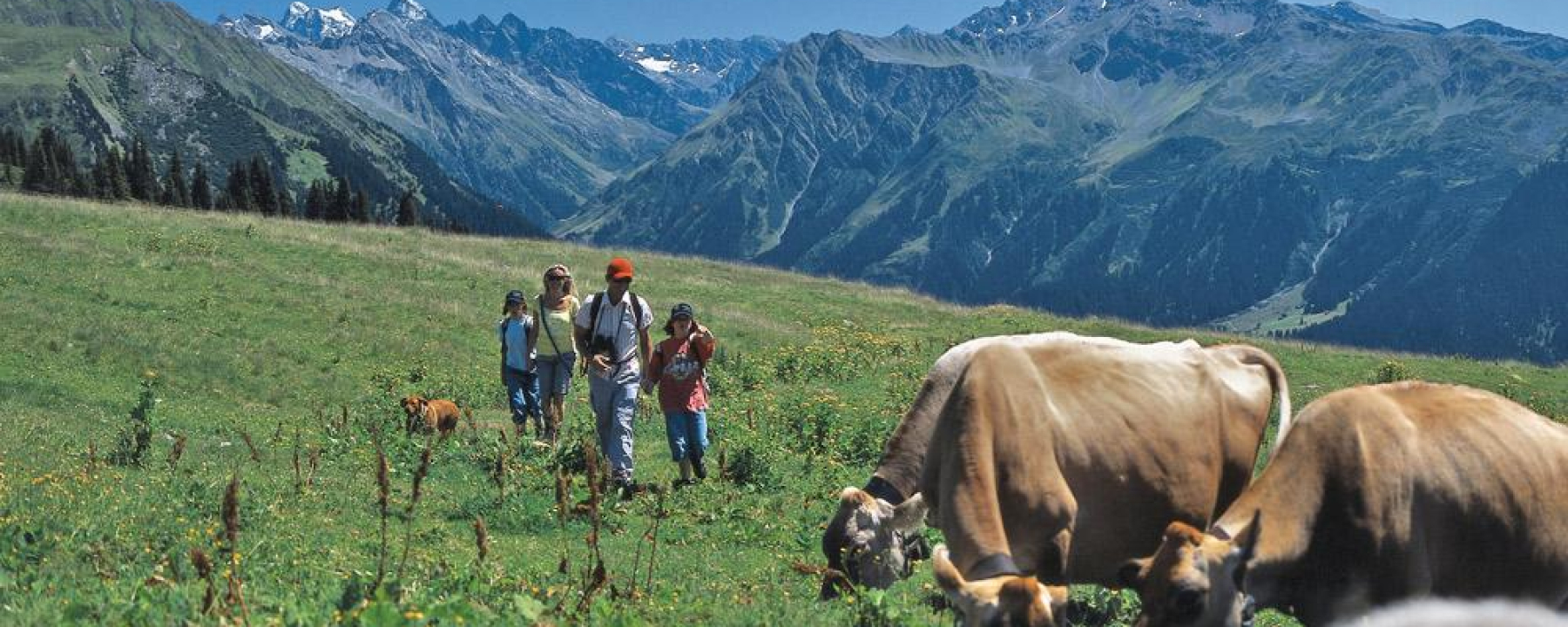 Ausgangspunkt Saaser Alp Madrisa