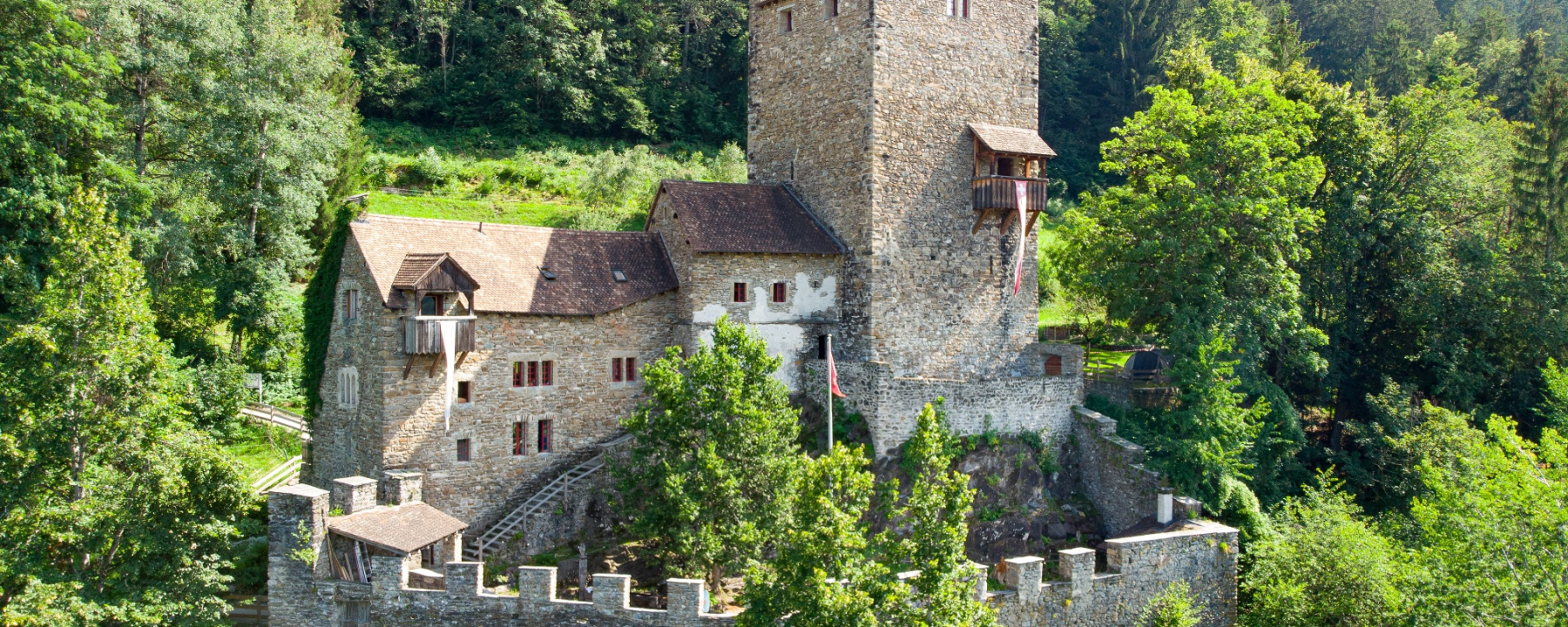 Burg Ehrenfels