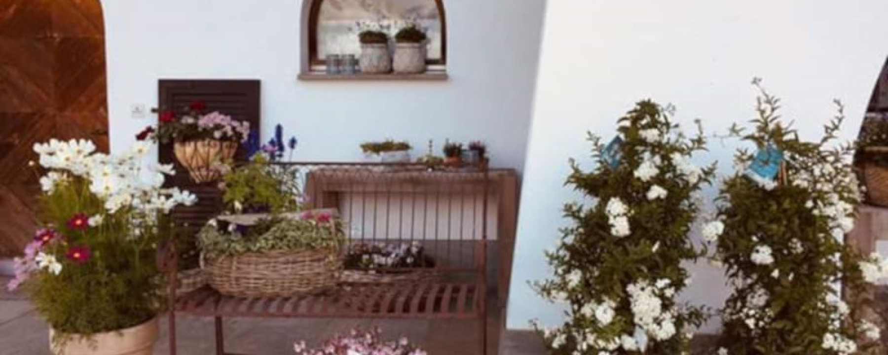 Blumenzauber GmbH Meierhof