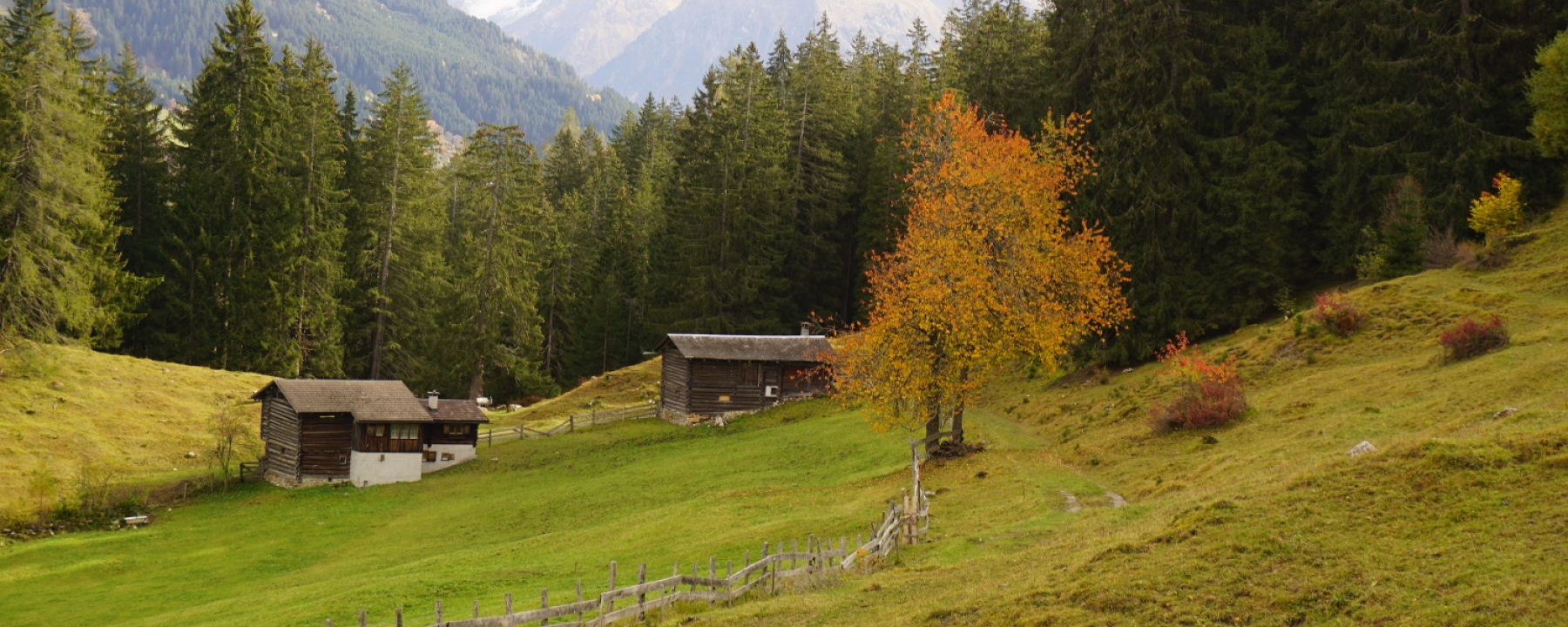 Herbst in der Grossrüti