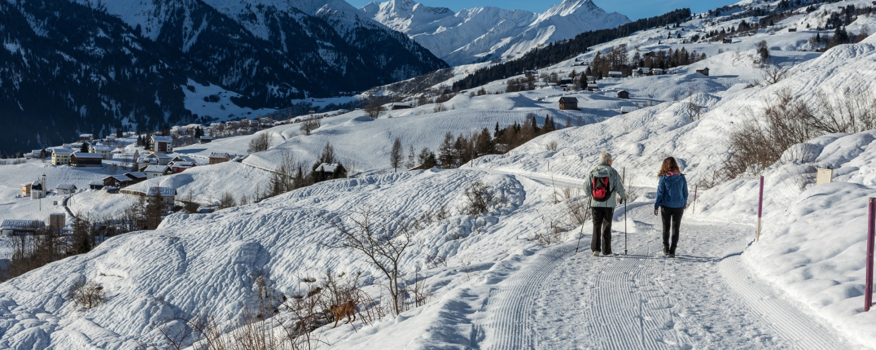 Winterwanderweg in Richtung Davos Munts