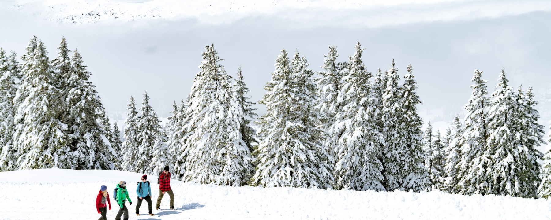 Winterwandern Lenzerheide
