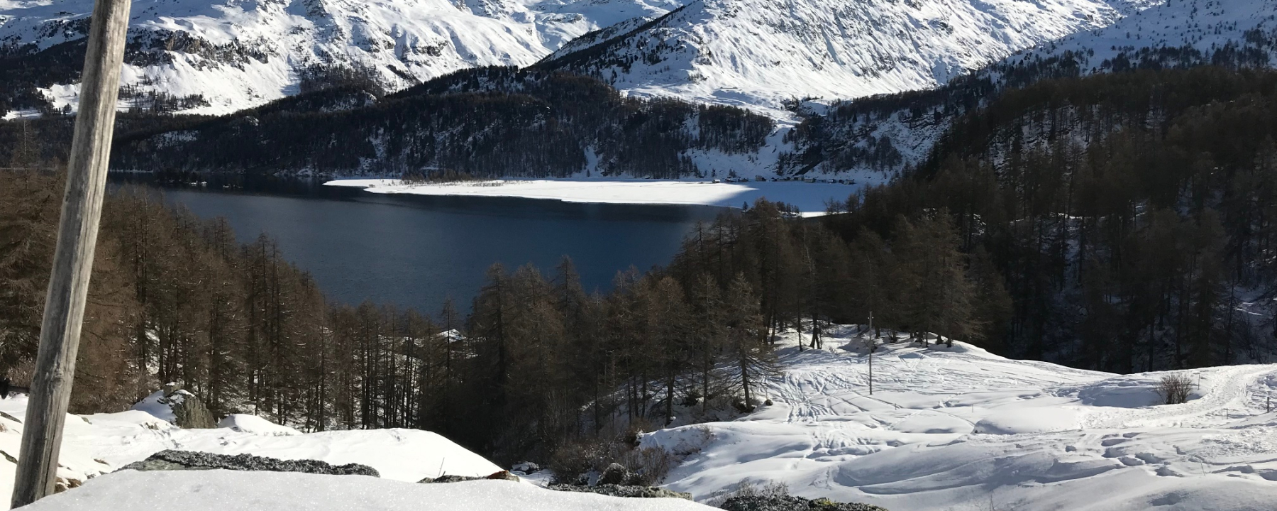 Blick über den Silsersee