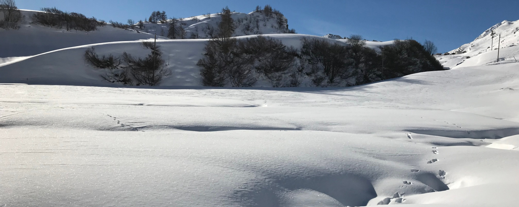 Schneeschuh laufen in sanftem Terrain
