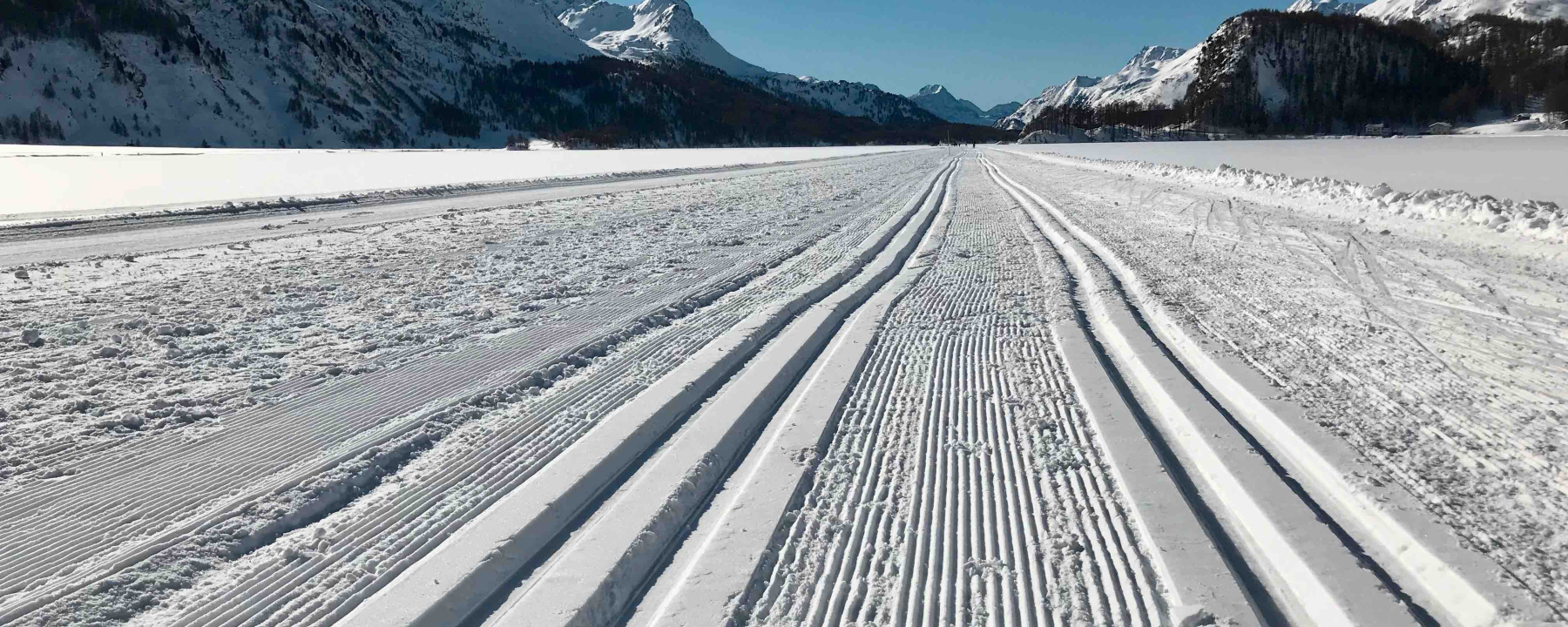 Zwischen Sils Maria und Maloja auf der Loipe – was gibt es Schöneres?