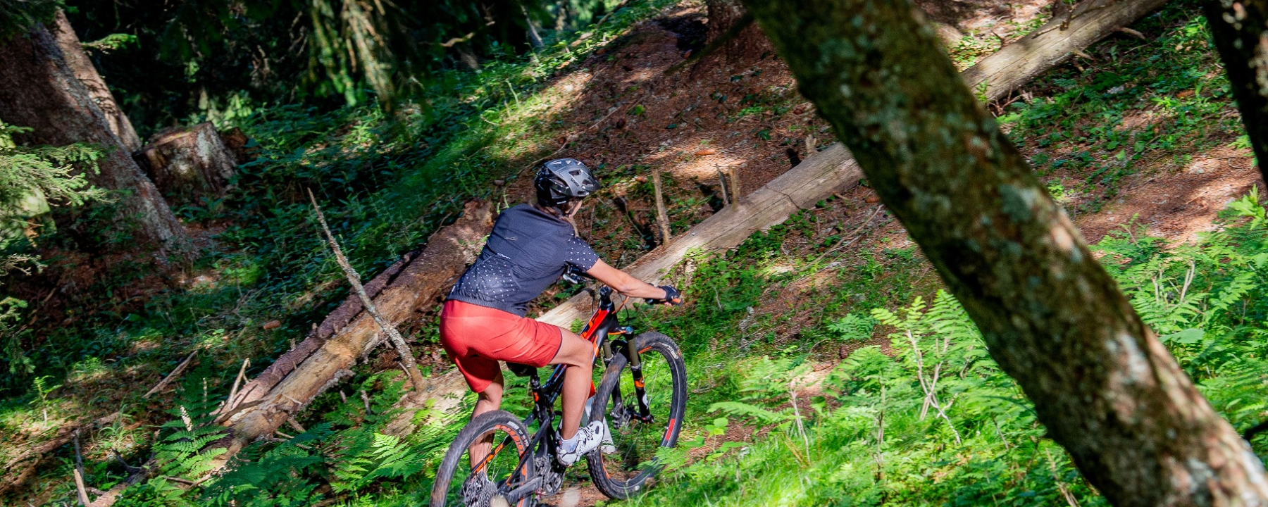 Singletrail Ruschein-Ilanz