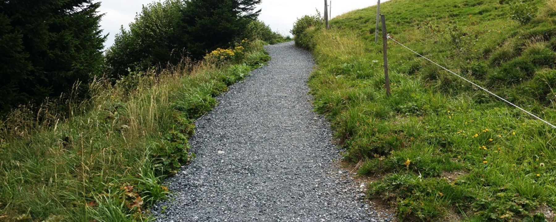 Bergweg auf dem Trail