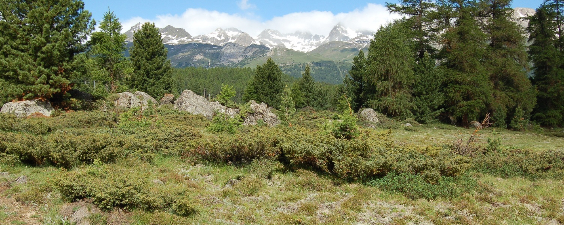 Ebene der Alp da Staz